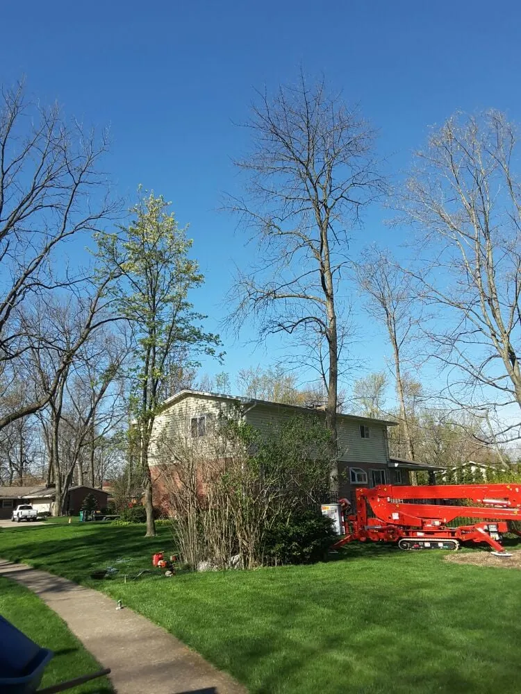 Trusted landscape design in Beavercreek, OH - F & F Tree Service