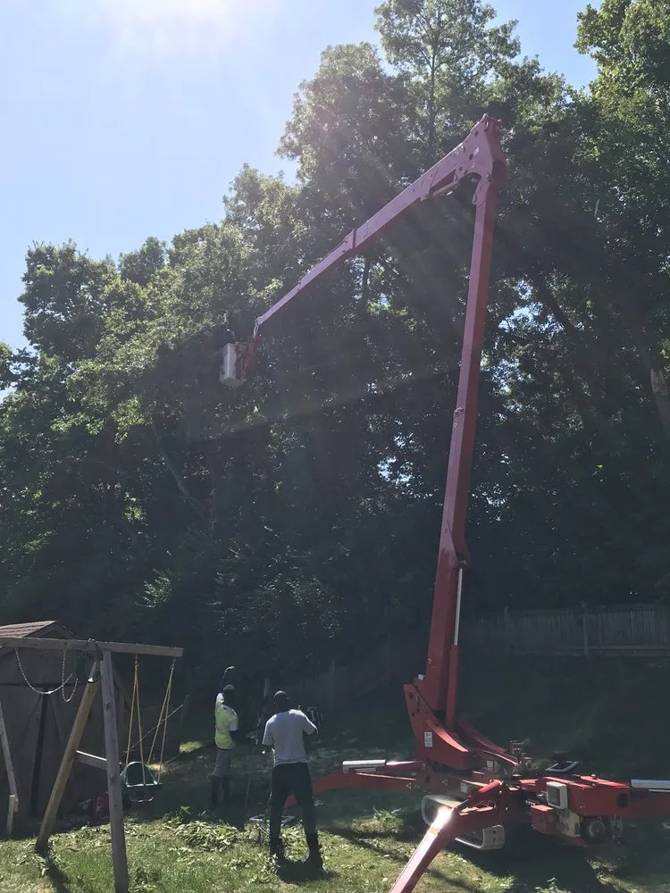 Custom yard cleanup service in Beavercreek, OH - F & F Tree Service