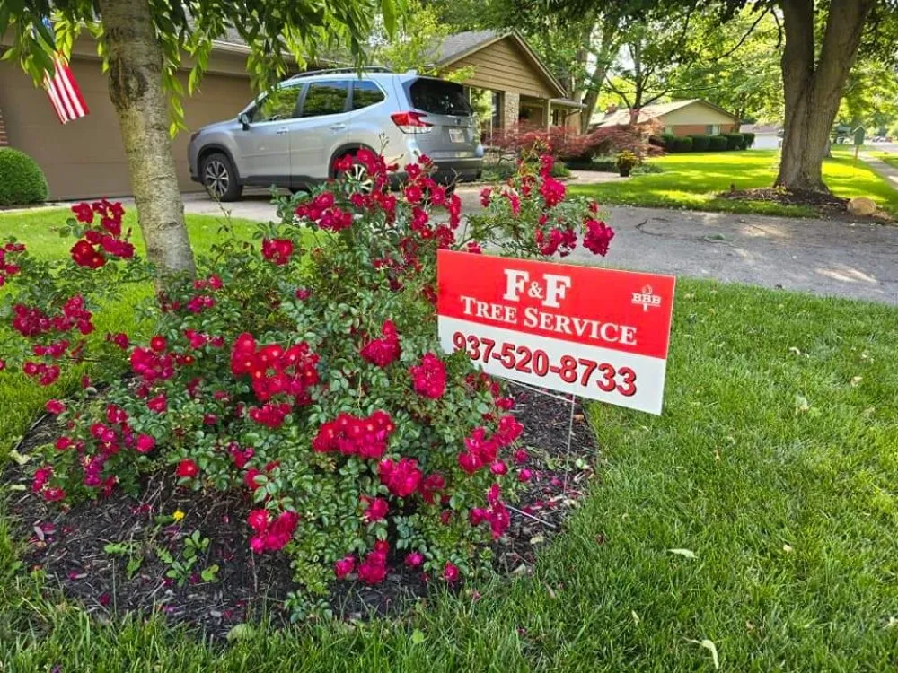 Trusted lawn mowing service experts serving Beavercreek, OH - F & F Tree Service
