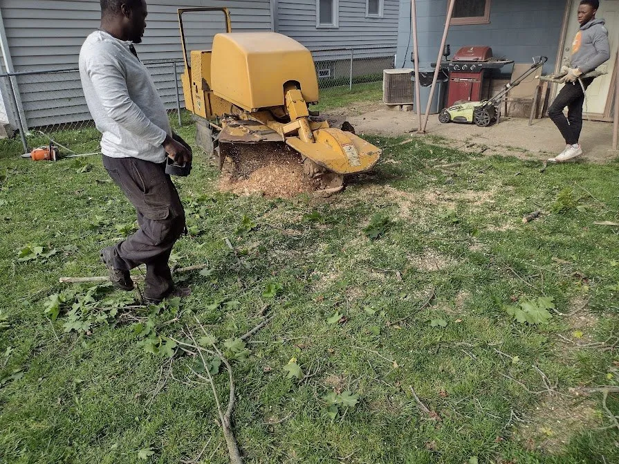 Professional yard cleanup service in Beavercreek, OH - F & F Tree Service