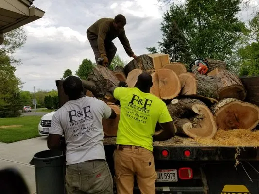 F & F Tree Service