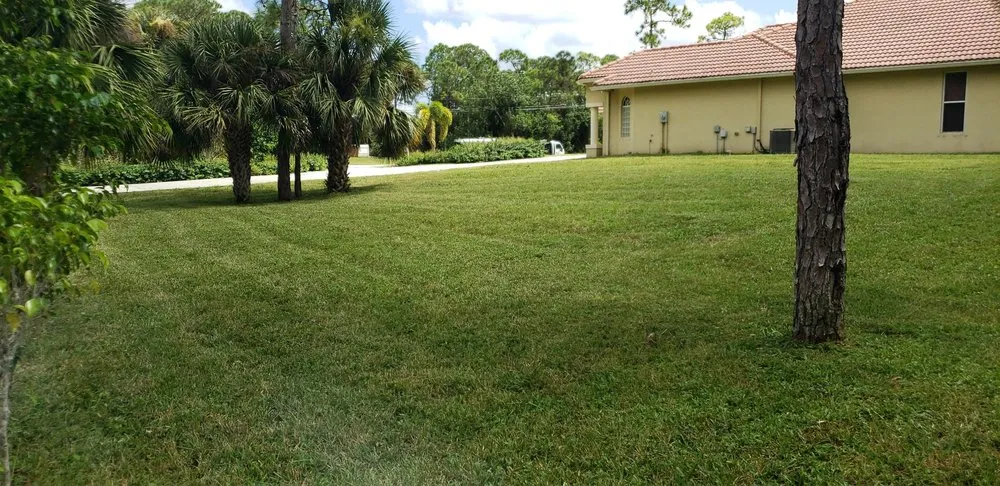 Local landscape design experts serving Palm Beach, FL - F & G Landscape Professionals