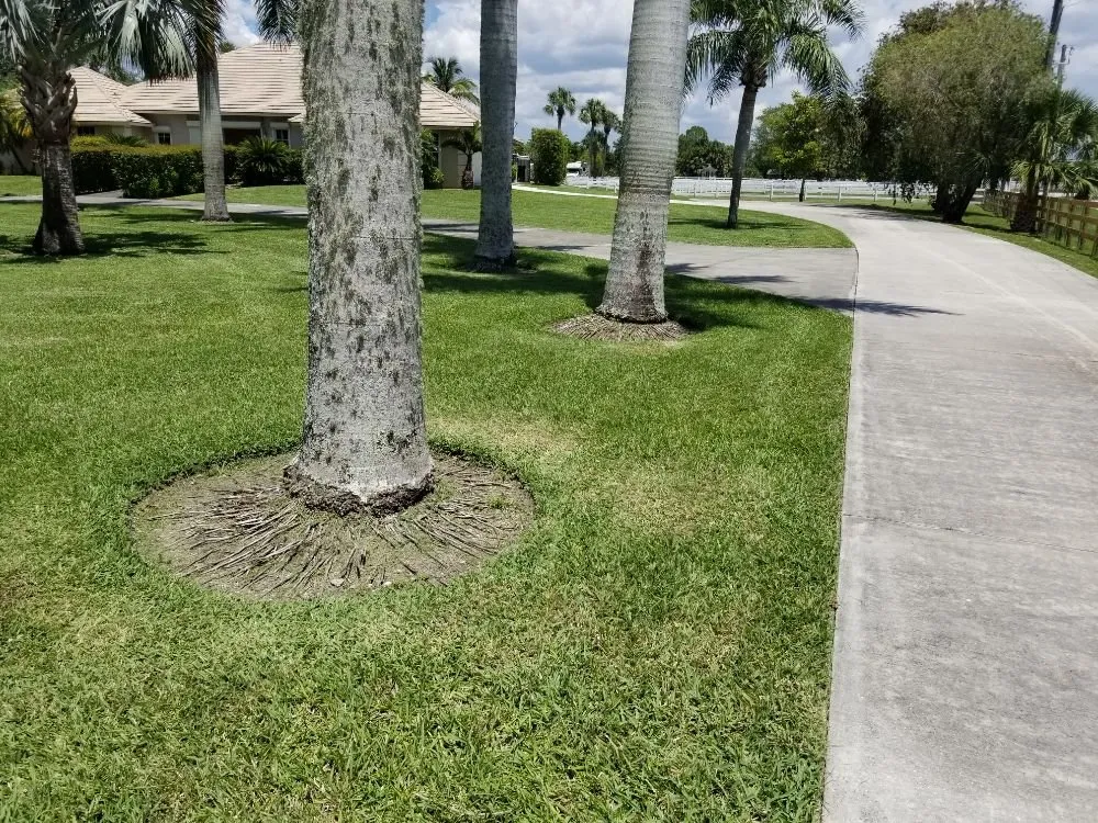 Expert lawn mowing service in Palm Beach, FL by F & G Landscape Professionals