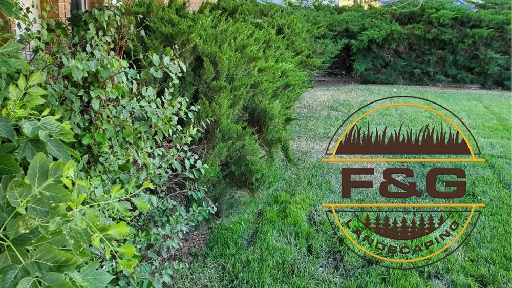 Affordable landscape installation in Casper, WY by F & G Landscaping