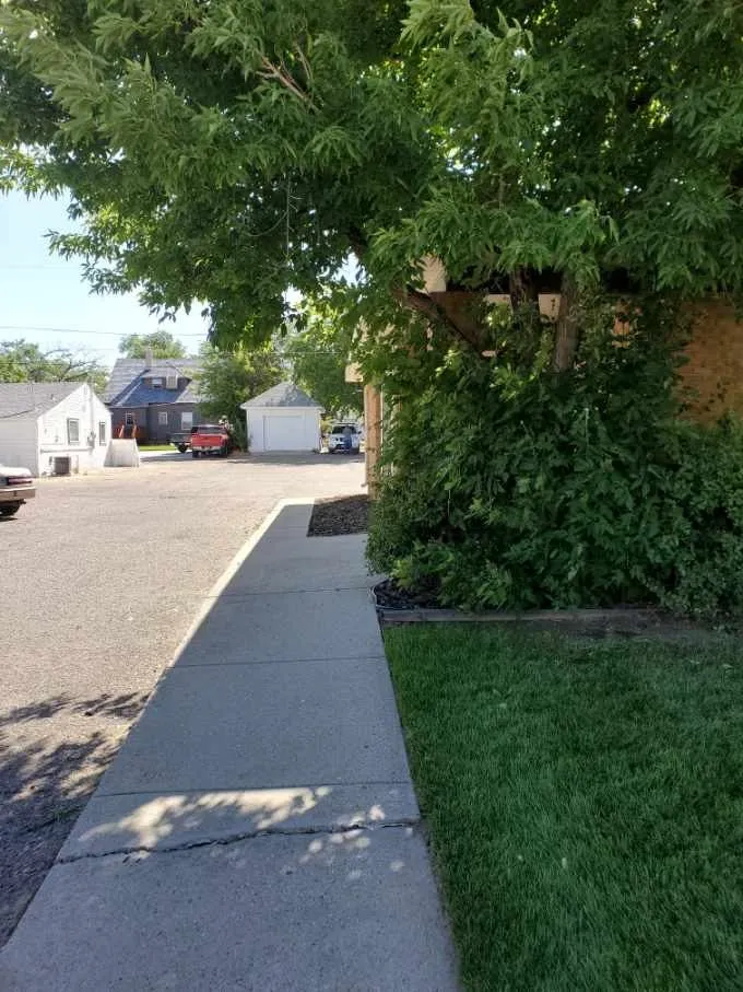 Expert yard maintenance for outdoor upgrades across Casper, WY - F & G Landscaping