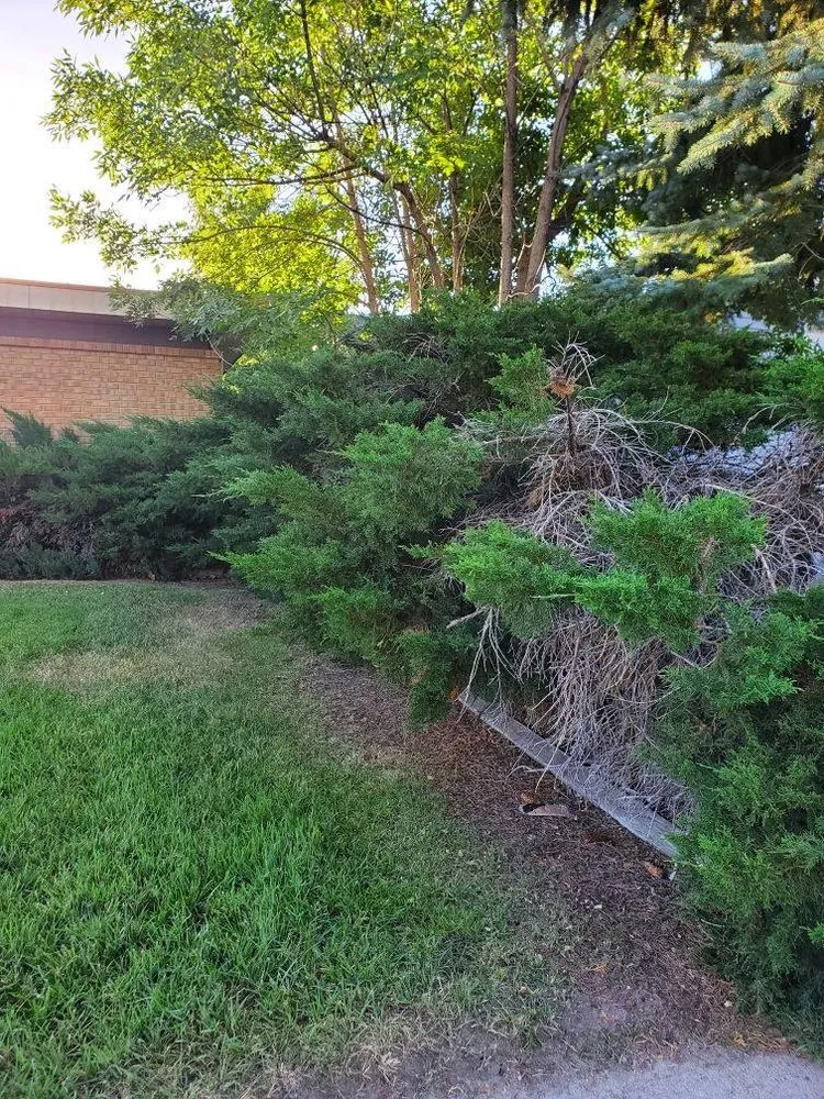 Trusted lawn care service in Casper, WY by F & G Landscaping