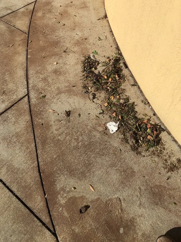 Custom yard maintenance in Morgan Hill, CA - F & H Landscaping