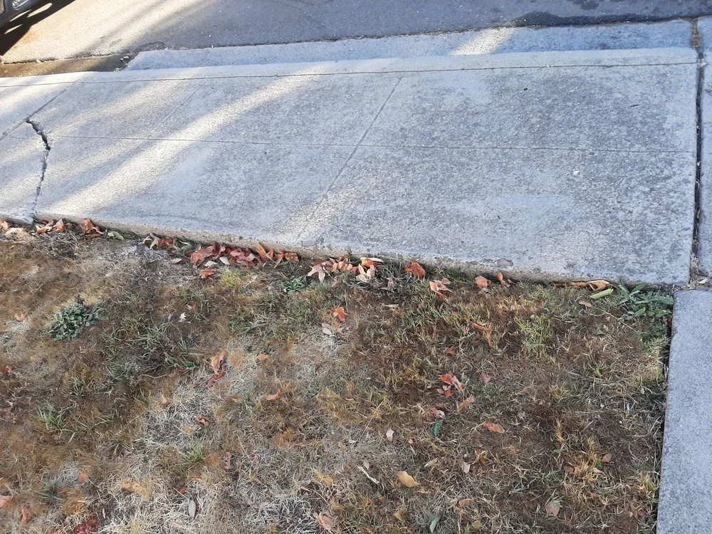 Affordable residential landscaping for residential properties in Morgan Hill, CA by F & H Landscaping