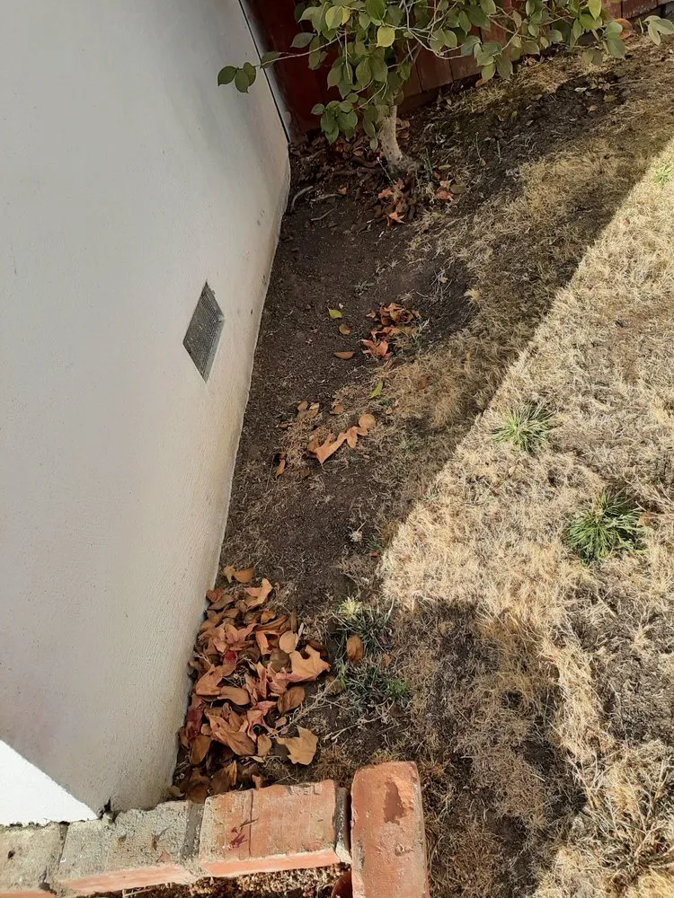 Local landscape installation in Morgan Hill, CA - F & H Landscaping