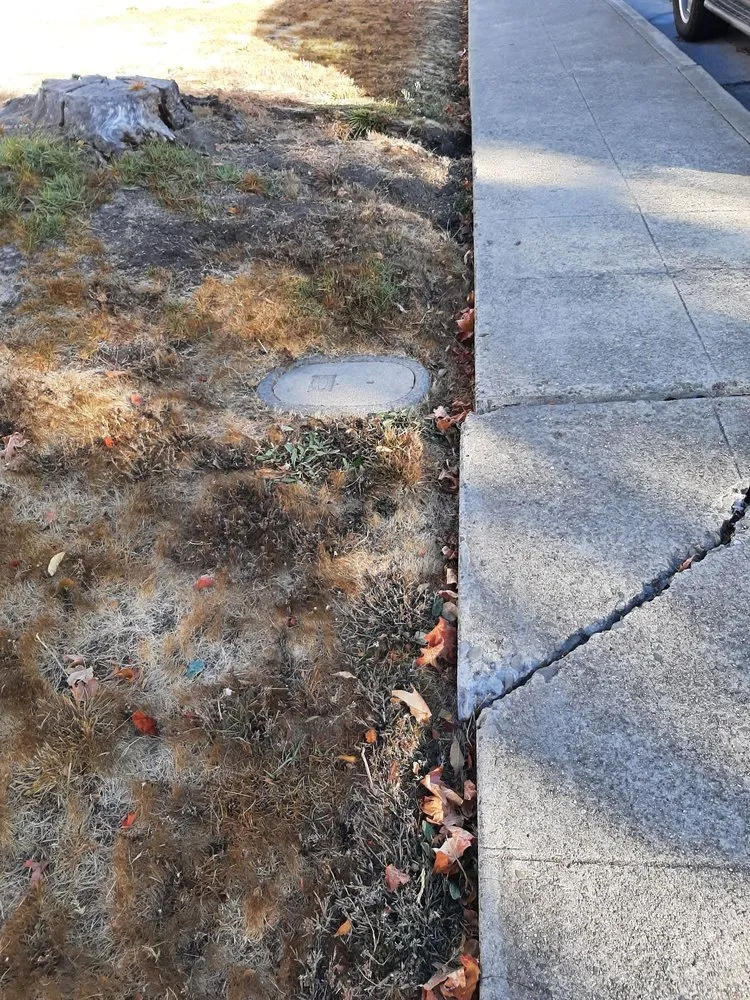 Affordable yard maintenance for outdoor upgrades across Morgan Hill, CA - F & H Landscaping