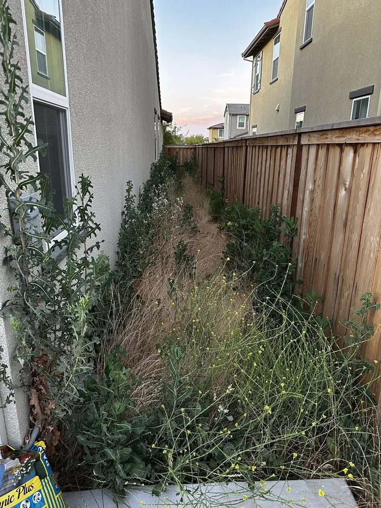 Trusted lawn mowing service in Modesto, CA by F & M Landscaping