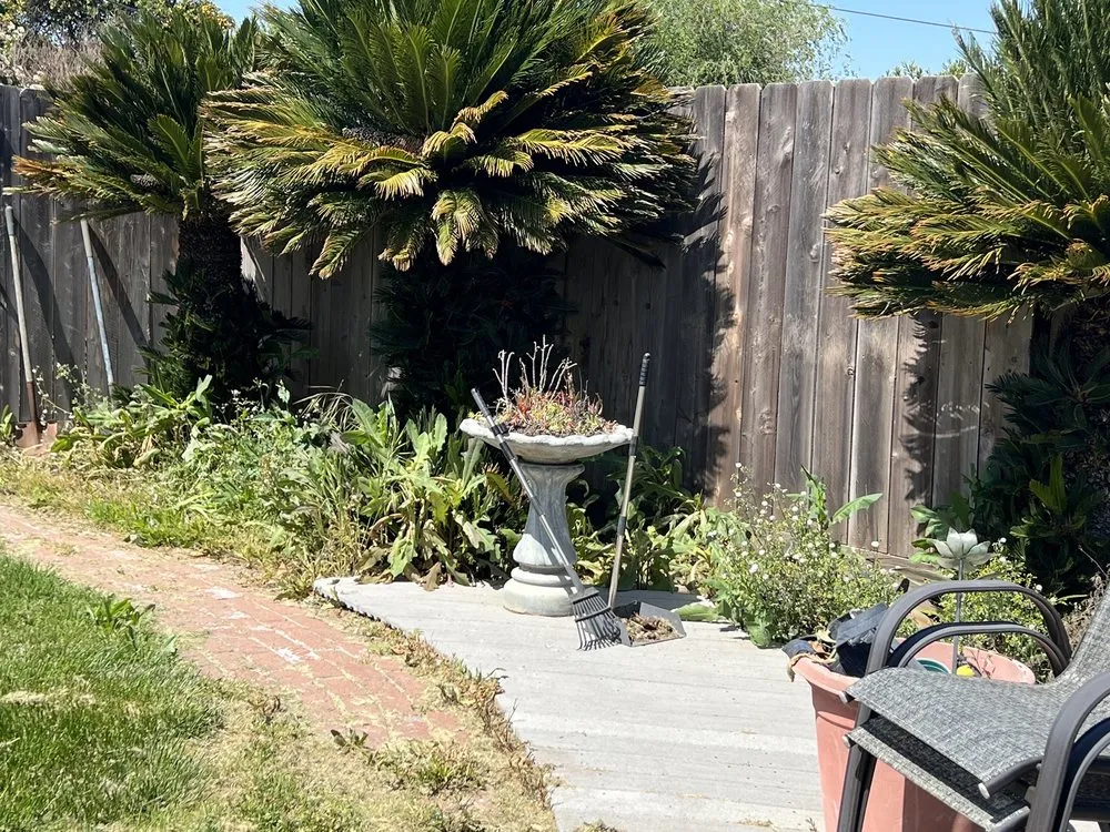 Affordable landscaping services experts serving Modesto, CA - F & M Landscaping