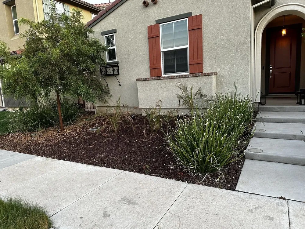 Expert landscape design in Modesto, CA by F & M Landscaping