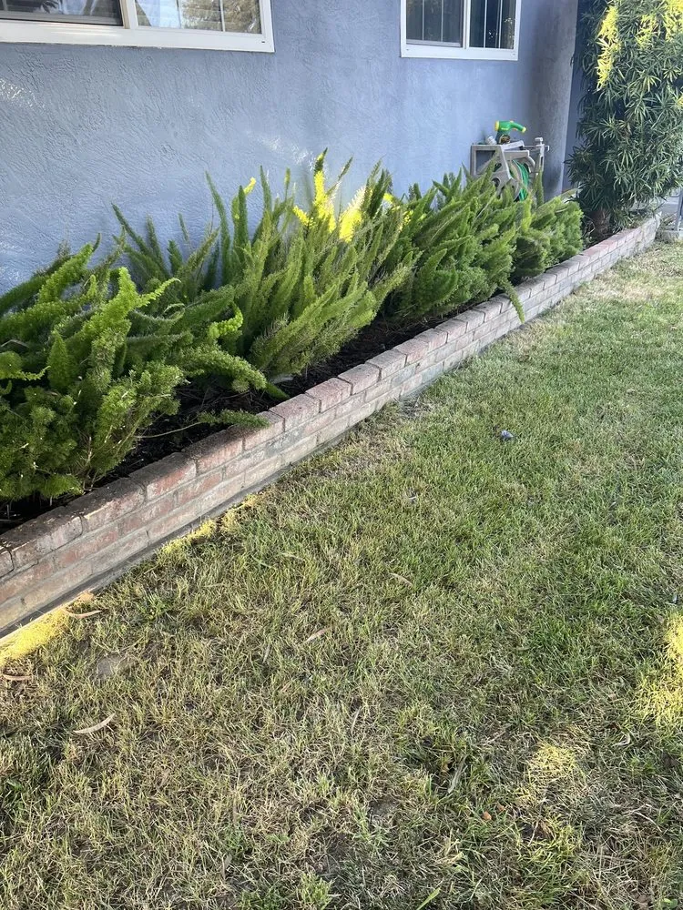 Trusted lawn mowing service in Modesto, CA - F & M Landscaping