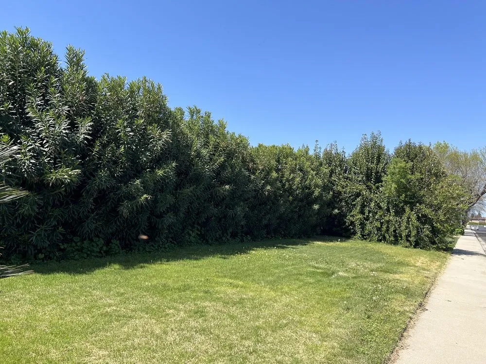 Top-rated lawn mowing service experts serving Modesto, CA - F & M Landscaping