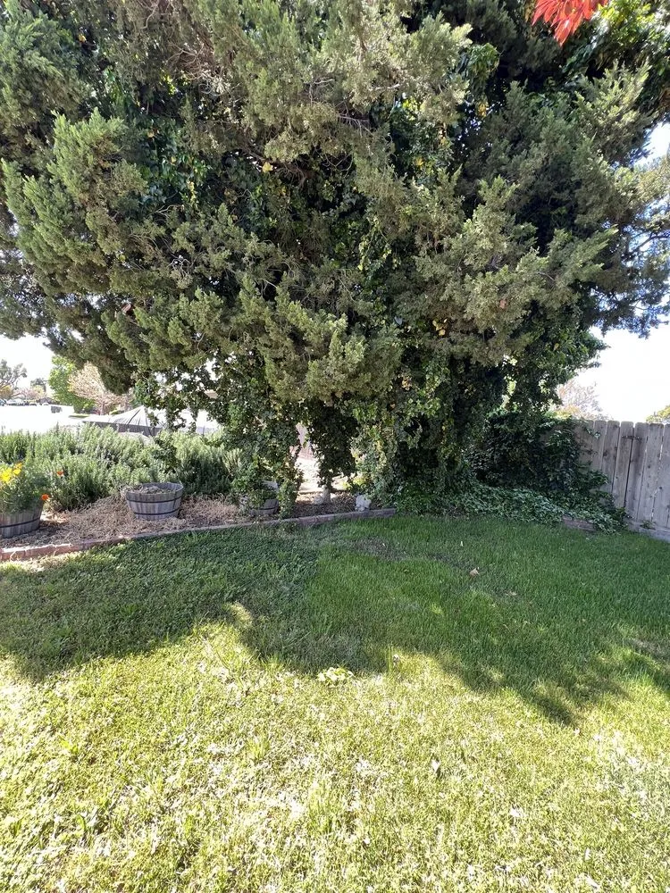 Reliable outdoor landscaping near you in Modesto, CA by F & M Landscaping