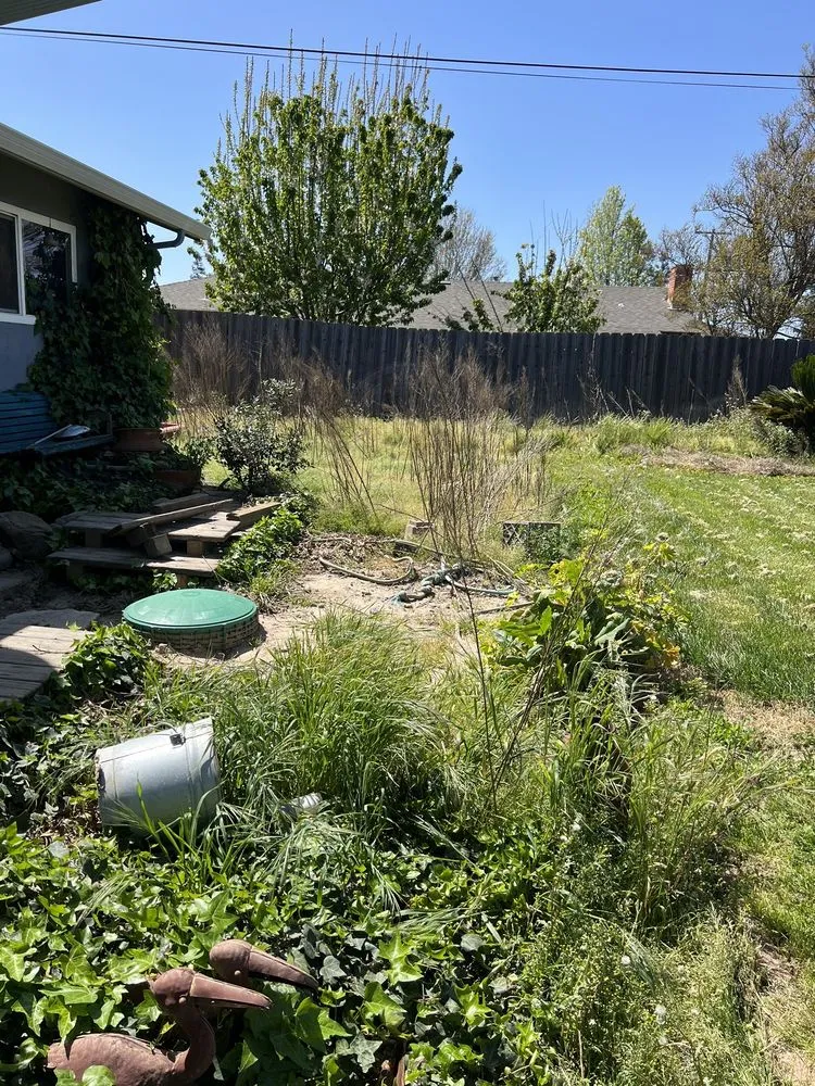 Local landscape installation experts serving Modesto, CA - F & M Landscaping