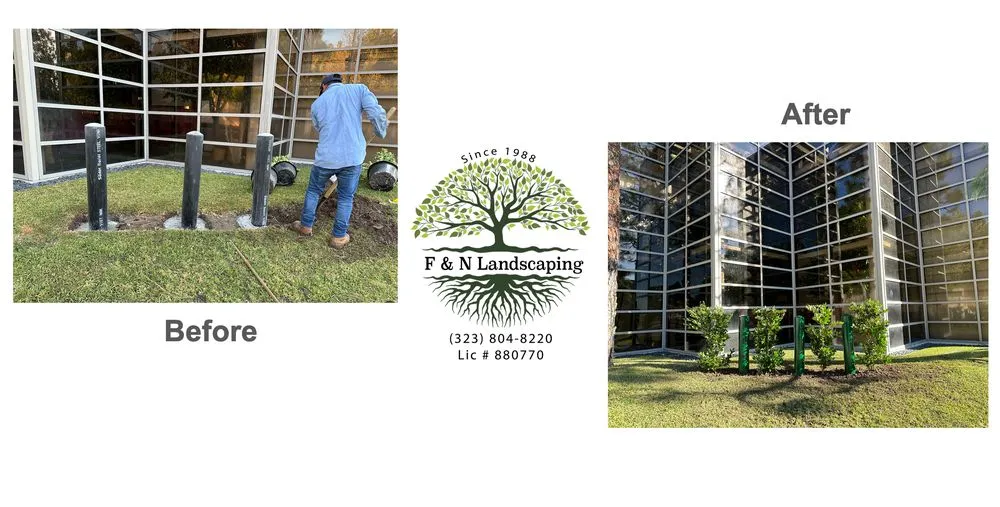 Trusted yard cleanup service in Azusa, CA by F & N Landscaping