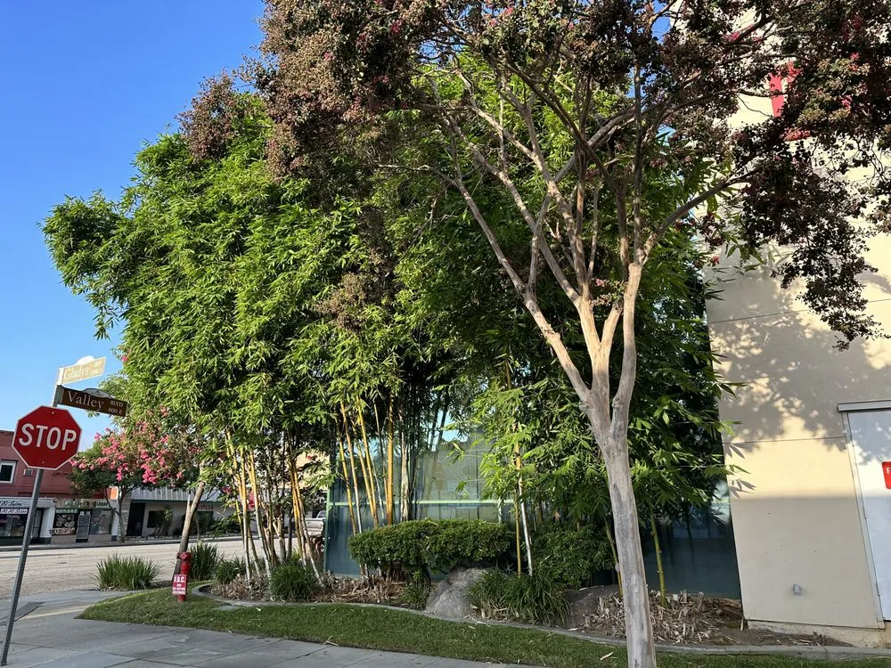 Top-rated landscape design in Azusa, CA - F & N Landscaping