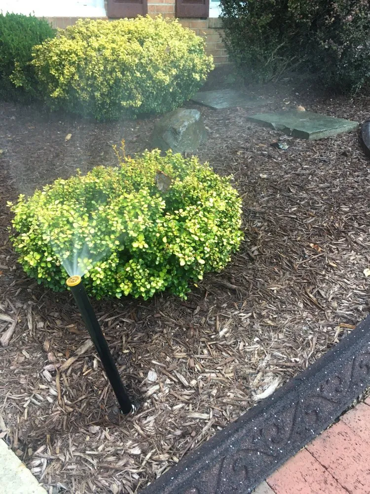 Expert lawn mowing service for residential properties across Adelphi, MD - F & R Landscaping solutions