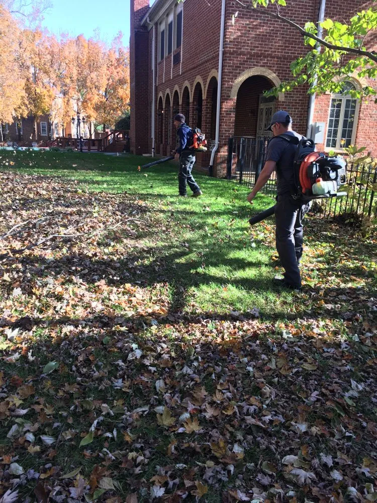 Affordable garden landscaping in Adelphi, MD - F & R Landscaping solutions