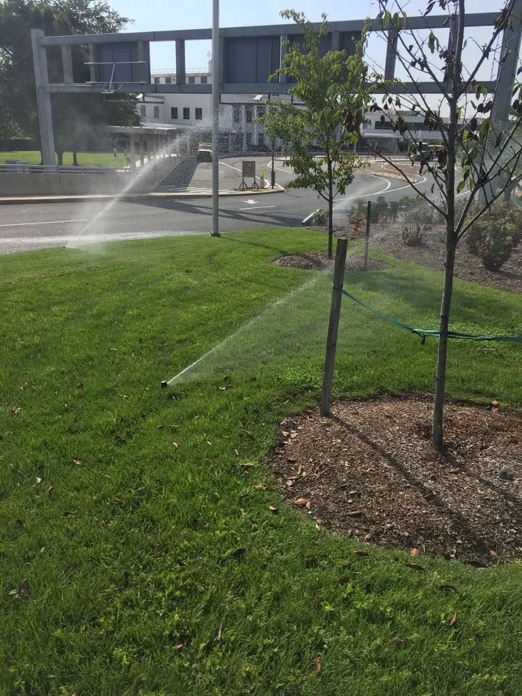 Top-rated lawn care service for year-round maintenance in Adelphi, MD by F & R Landscaping solutions