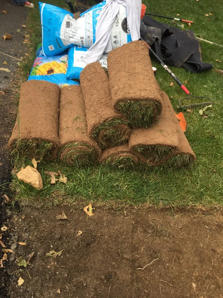 Top-rated garden landscaping near you in Adelphi, MD by F & R Landscaping solutions