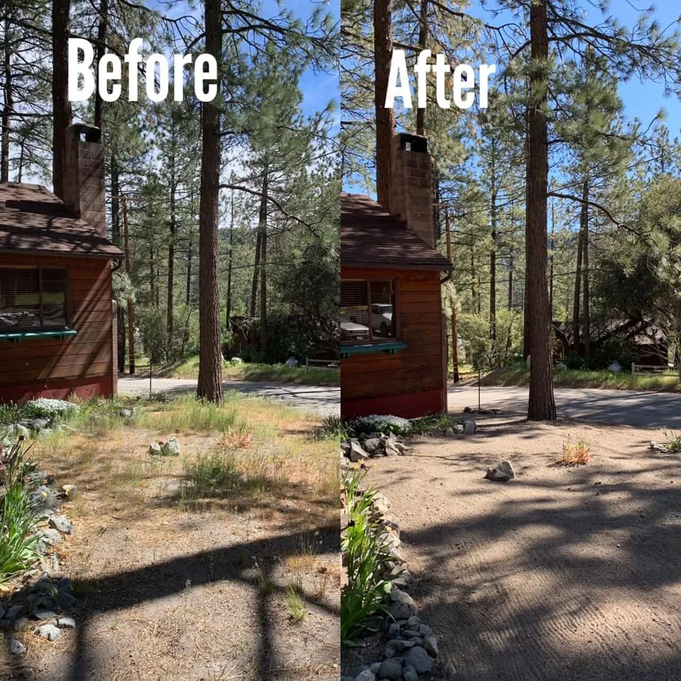 Affordable yard maintenance in Wrightwood, CA by F & S Landscaping