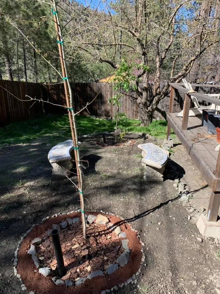 Reliable outdoor landscaping in Wrightwood, CA by F & S Landscaping