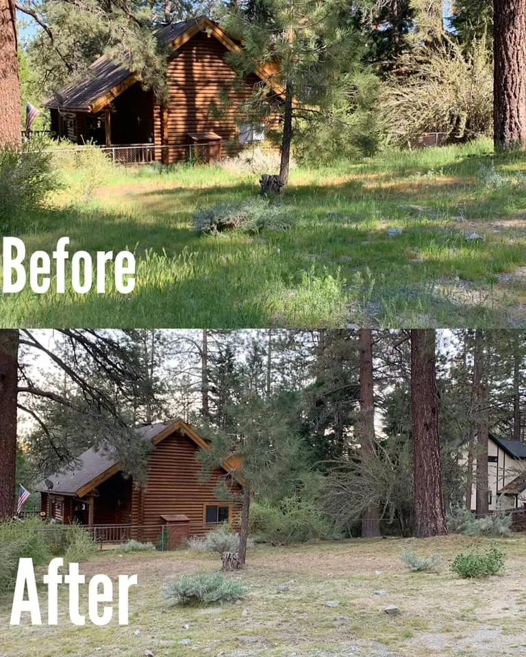 Top-rated outdoor landscaping in Wrightwood, CA by F & S Landscaping