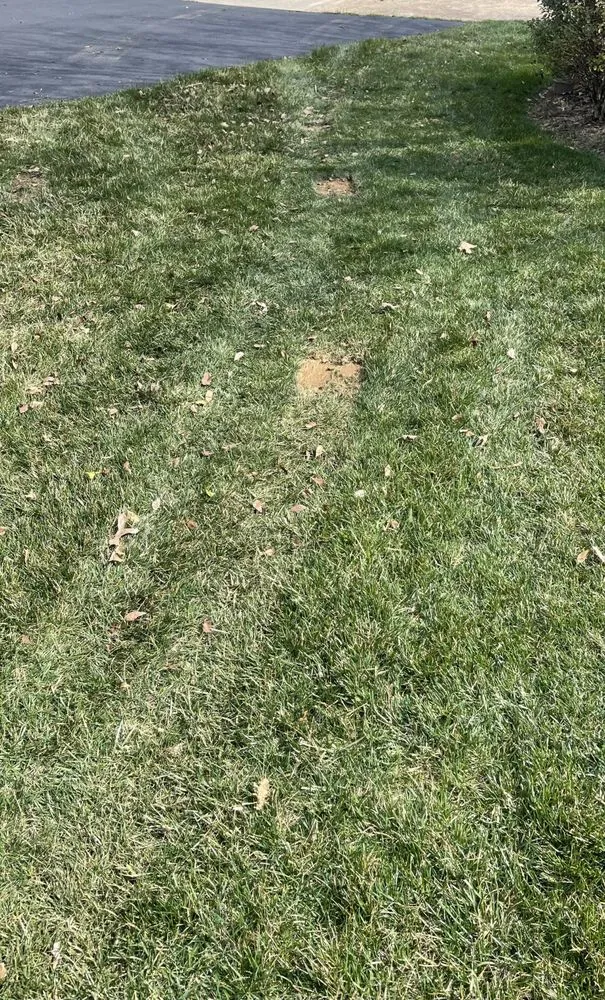 Custom landscape installation in Warrenton, VA - F & S Lawn Services & Landscaping