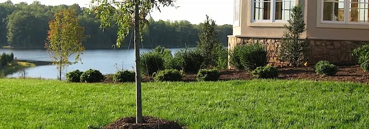 Professional landscape design for beautiful yards in Warrenton, VA by F & S Lawn Services & Landscaping