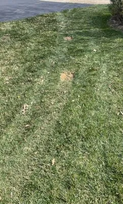 F & S Lawn Services & Landscaping Logo