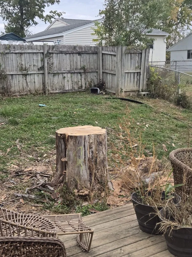 Top-rated yard cleanup service for homes across Cascade, IA - F & S Outdoor Services