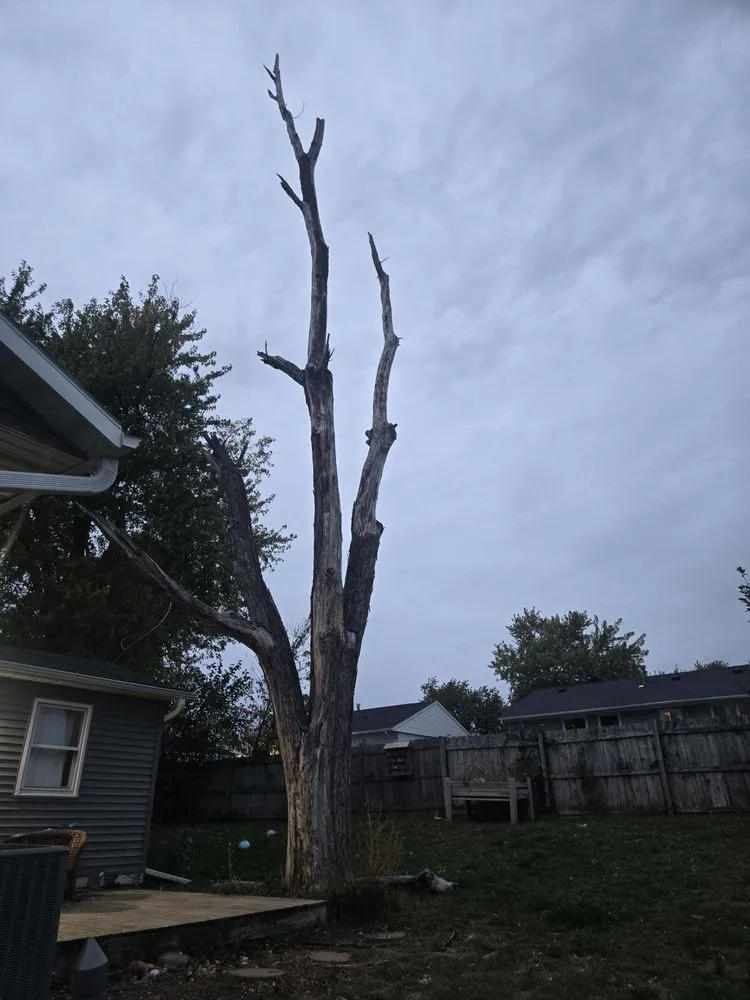 Expert landscape installation in Cascade, IA - F & S Outdoor Services