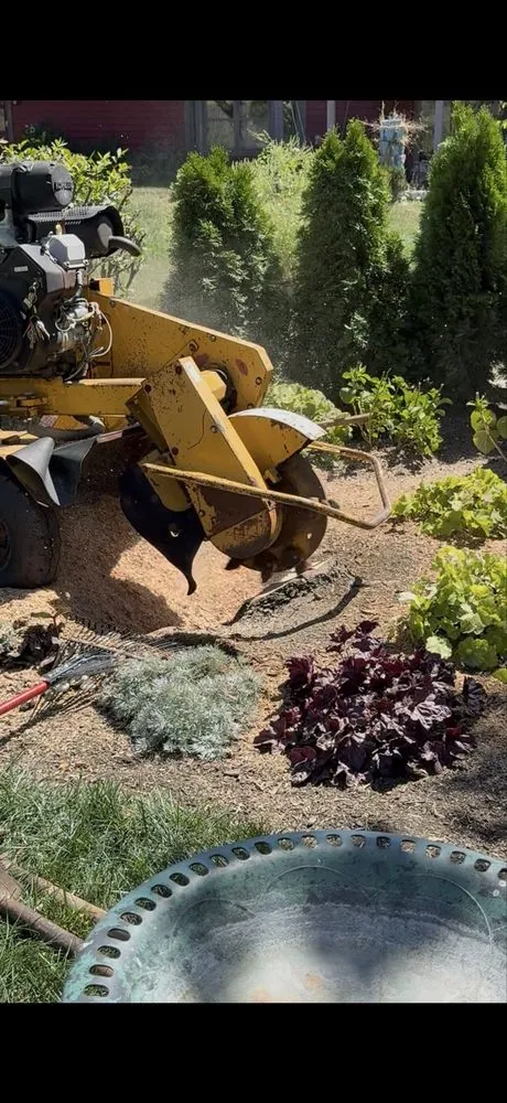 Affordable residential landscaping in Springboro, OH by F & S Stump Removal and Landscaping