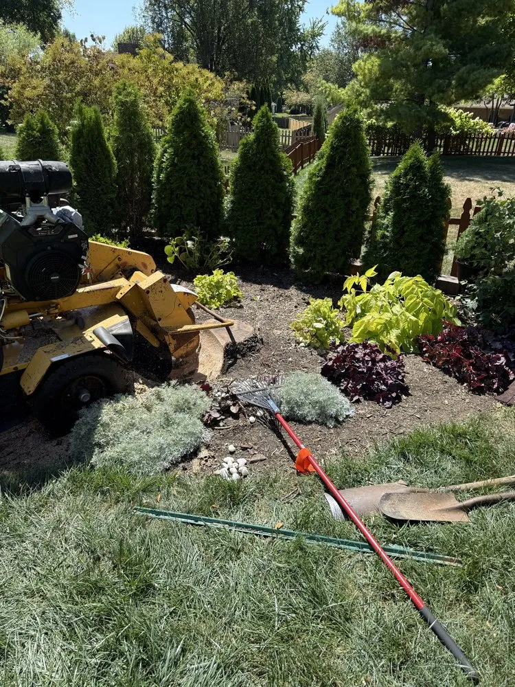 Top-rated landscape design for beautiful yards across Springboro, OH - F & S Stump Removal and Landscaping