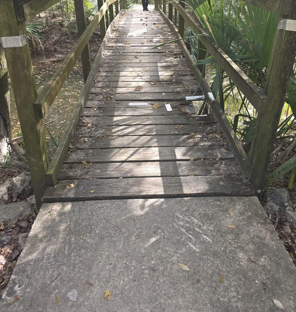 Professional garden landscaping in Montgomery, TX by F & S Tradesmen