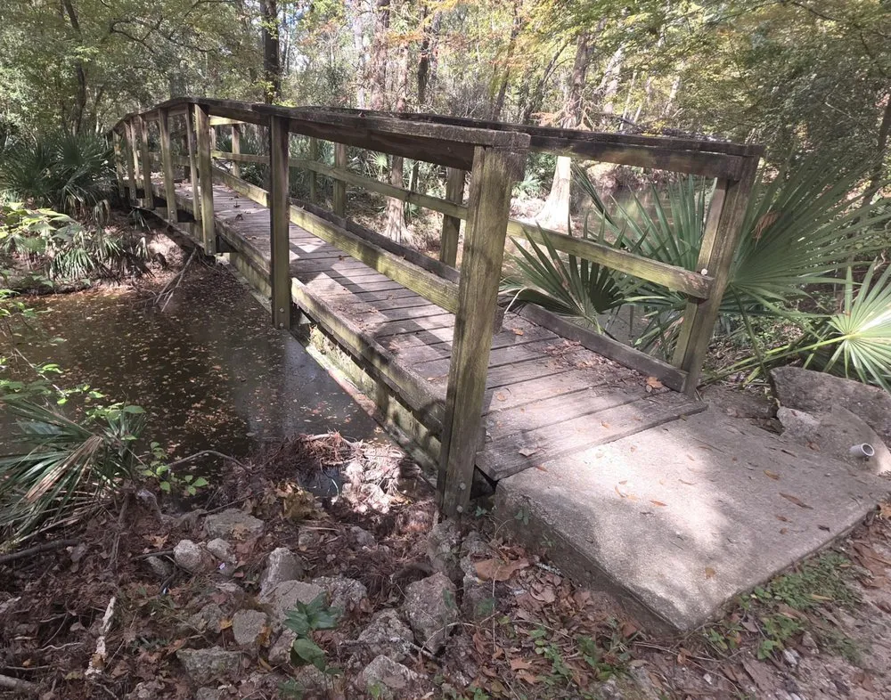 Professional landscaping services for residential properties across Montgomery, TX - F & S Tradesmen