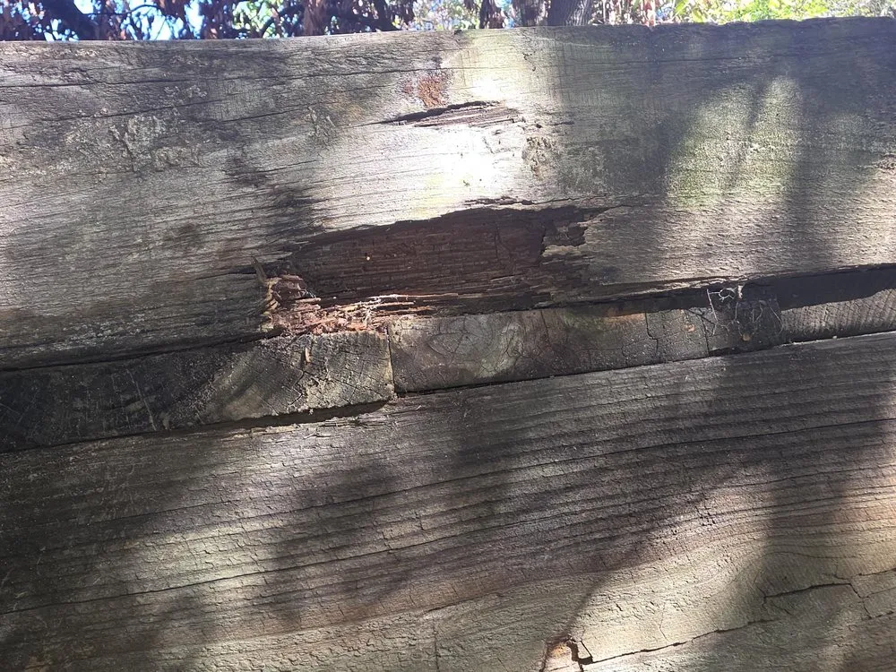 Professional outdoor landscaping experts serving Montgomery, TX - F & S Tradesmen