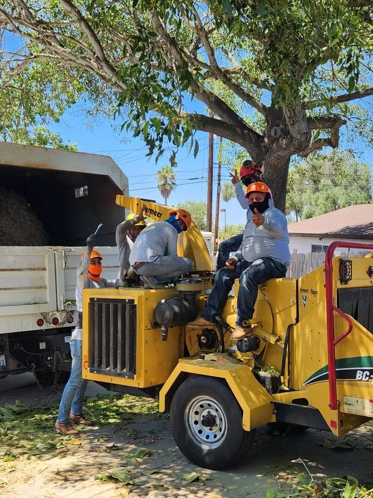 Expert landscape installation in Vista, CA by F & S Tree Service & Landscaping