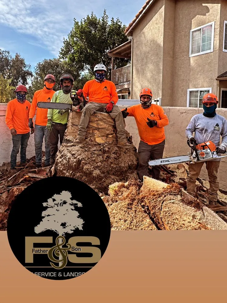 Local yard maintenance for residential properties in Vista, CA by F & S Tree Service & Landscaping
