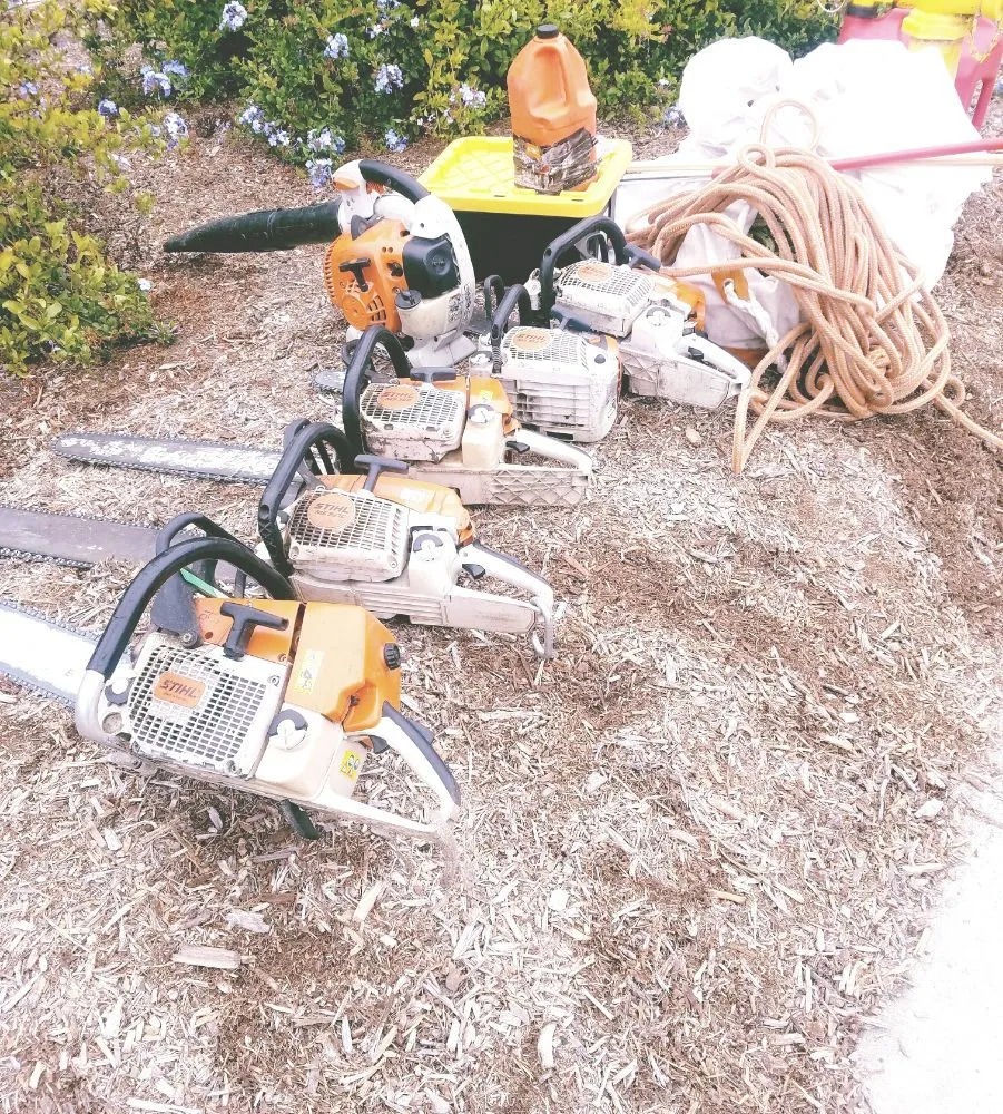 Local landscape design for homes across Vista, CA - F & S Tree Service & Landscaping