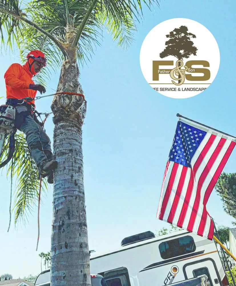 Reliable lawn mowing service in Vista, CA - F & S Tree Service & Landscaping