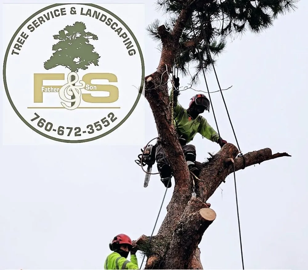 Affordable garden landscaping in Vista, CA - F & S Tree Service & Landscaping