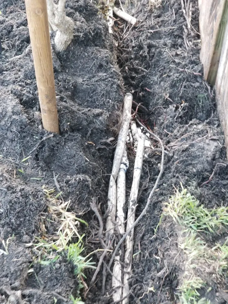 Top-rated landscape design in Spring, TX by F & V Contractors