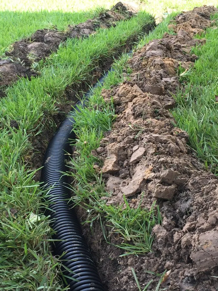 Affordable lawn care service for outdoor upgrades across Spring, TX - F & V Contractors