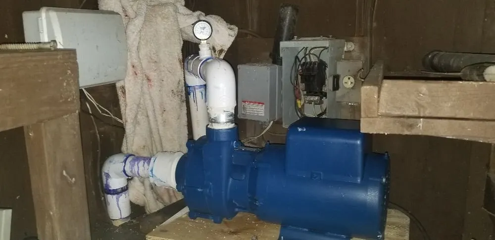 Expert landscaping services in Spring, TX - F & V Contractors