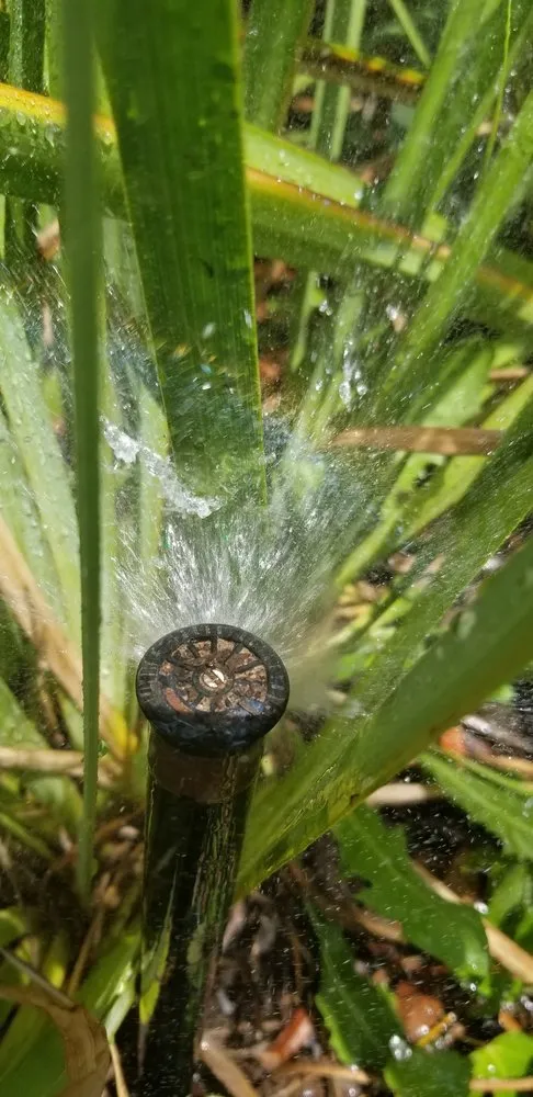 Trusted garden landscaping in Spring, TX by F & V Contractors