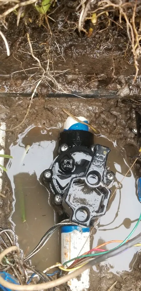 Professional landscape design in Spring, TX - F & V Contractors